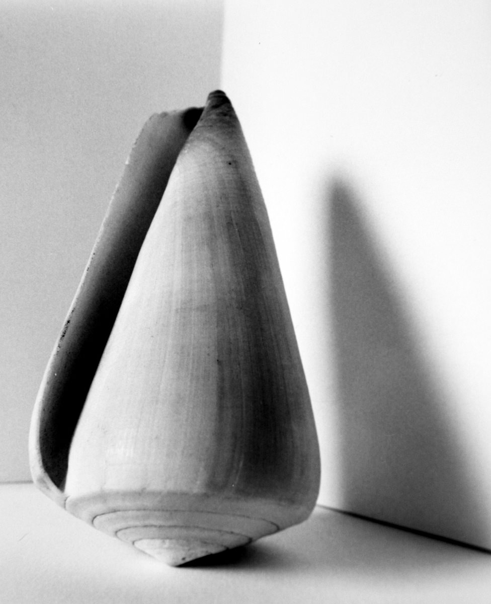 Flor Garduño | Work Details
